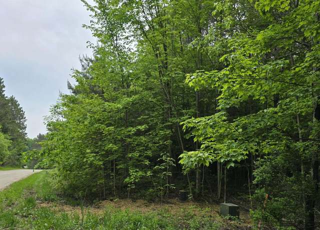 Property at Lot 24 Hagni Rd, Kalkaska, MI 49646