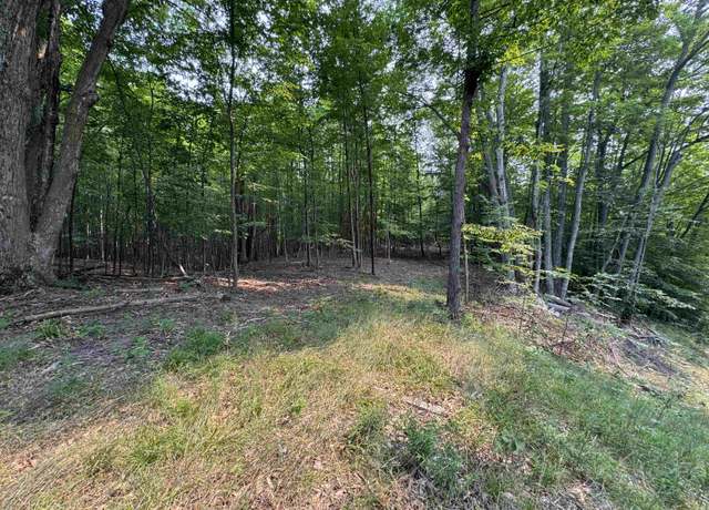 Property at Lot #3 E Bellinger Rd, Kasson Township, MI 49621
