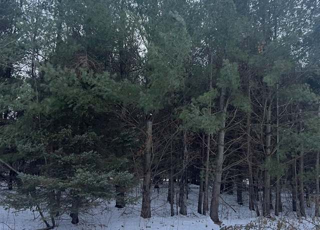 Property at V/L Radov Rd, Gladwin, MI 48624