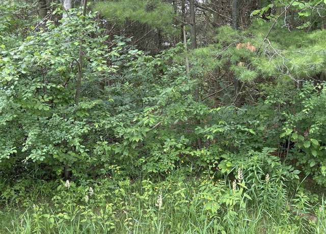 Property at V/L Radov Rd, Gladwin, MI 48624