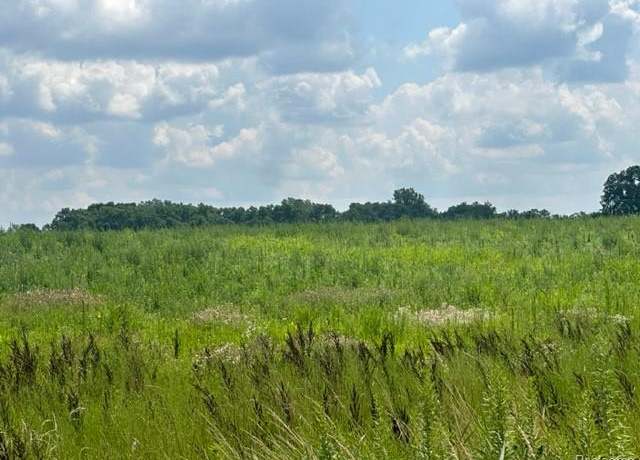 Property at Parcel E Hogan, Fenton Charter Township, MI 48451