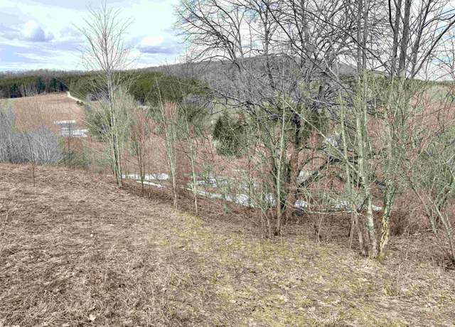 Property at 0 E Darga Rd, Cedar, MI 49621