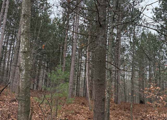 Property at V/L E 22 3/4 Rd, Manton, MI 49663