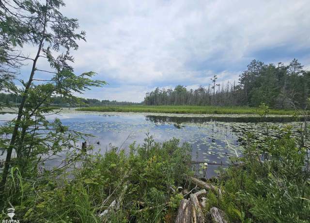Property at Spile Dam Rd, Millersburg, MI 49759