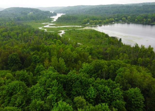 Property at 000 Veldkamp Rd, Central Lake, MI 49622