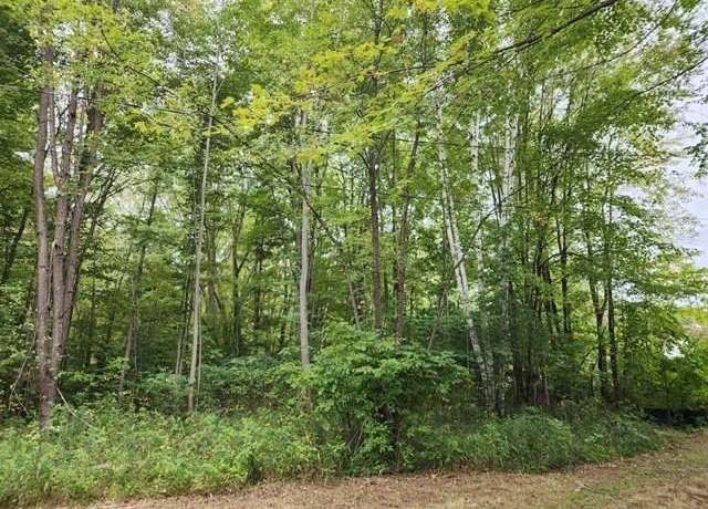 Property at 5870 W Dopp Rd, Greendale Township, MI 48883
