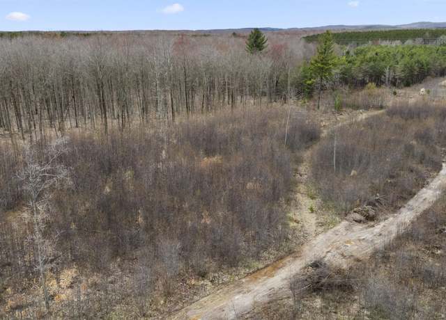 Property at Parcel C E 32 Rd, Cadillac, MI 49601