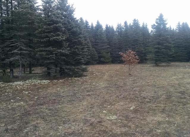 Property at 11537 Pheasant Dr, Fife Lake, MI 49633