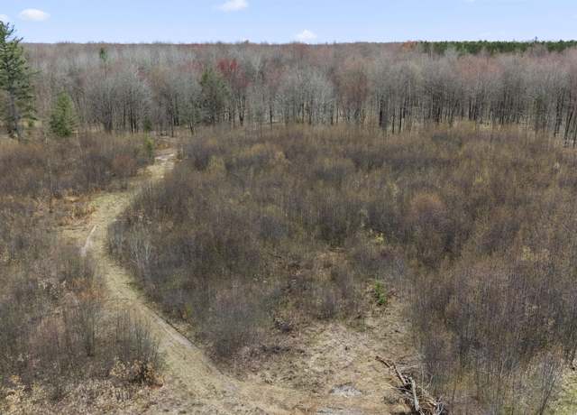 Property at Parcel A E 32 Rd, Cadillac, MI 49601