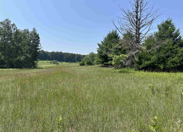 Property at Parcel 2 Bright Rd, Maple City, MI 49664