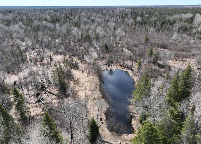 Property at V/L86.69 W M-28, Eckerman, MI 49728