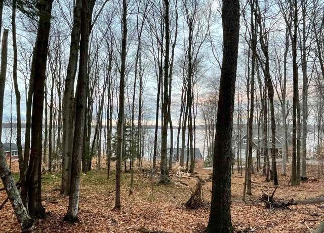 Property at 00 Treetops Ln, Frankfort, MI 49635