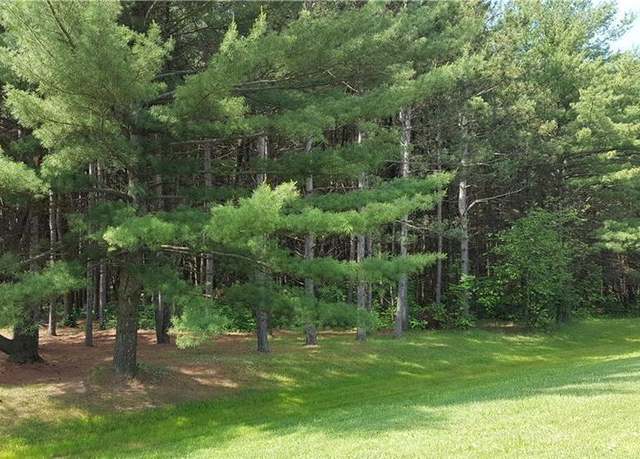 Property at S Washburn Rd, Mayville, MI 48768