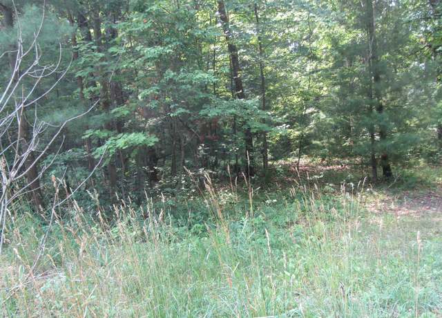 Property at 00_VL George St, Prescott, MI 48756