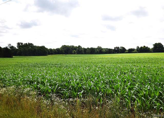 Property at V/L N Irish Rd, Otisville, MI 48463