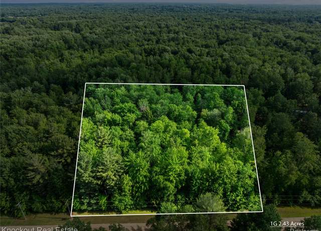 Property at #0015 V/l Birch Ln, Vassar, MI 48768