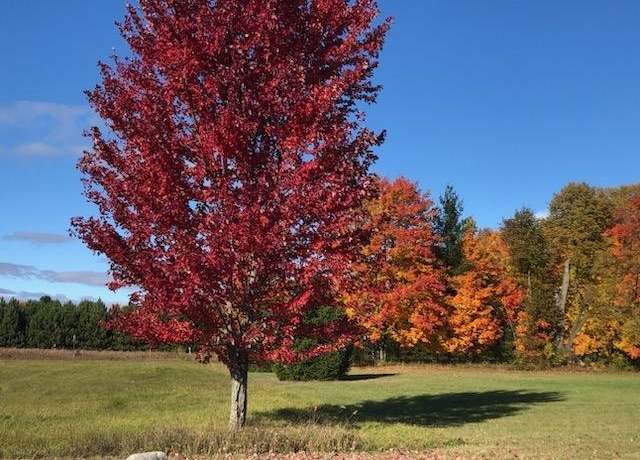 Property at Lot 17 Powell Dr, Cadillac, MI 49601