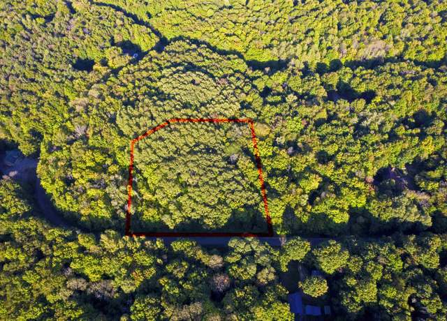 Property at V/L Forestgrove Dr, Elmira, MI 49730