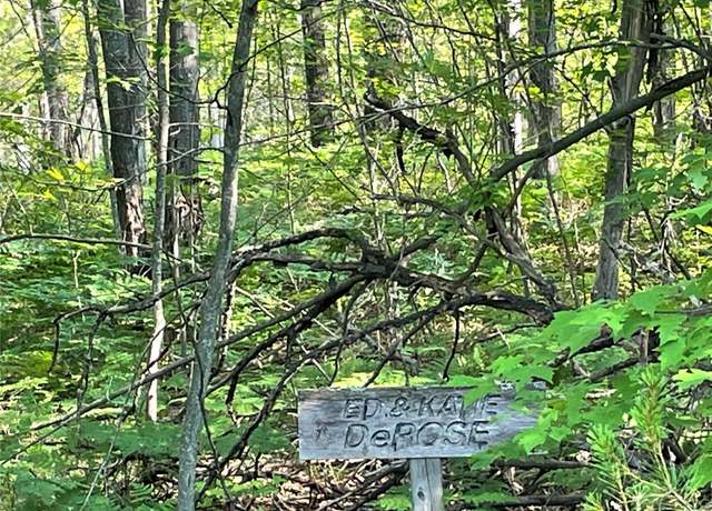 Property at 141 Garland Woods Ln, Lewiston, MI 49756