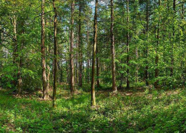 Property at Westwood Dr, Oscoda, MI 48750