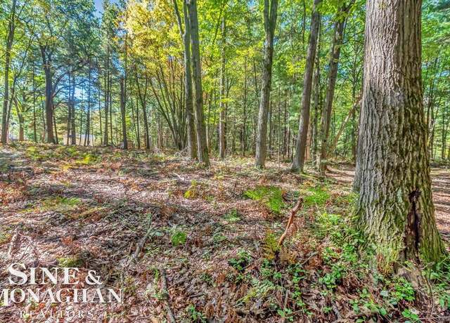 Property at Lot 13 Vienna Ct, Markey Twp, MI 48629