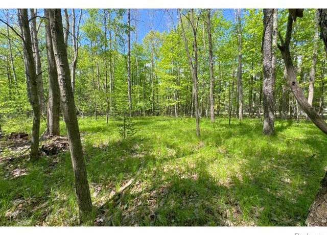 Property at 000 Birchwood Dr, Freeman Township, MI 48632
