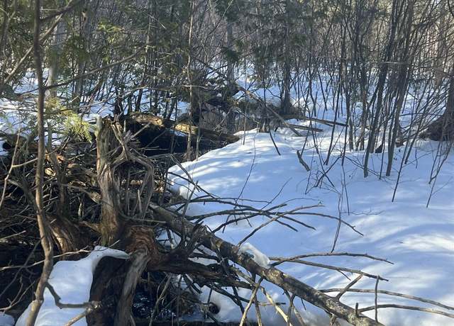 Property at 0000 Spikehorn Trl, Indian River, MI 49749