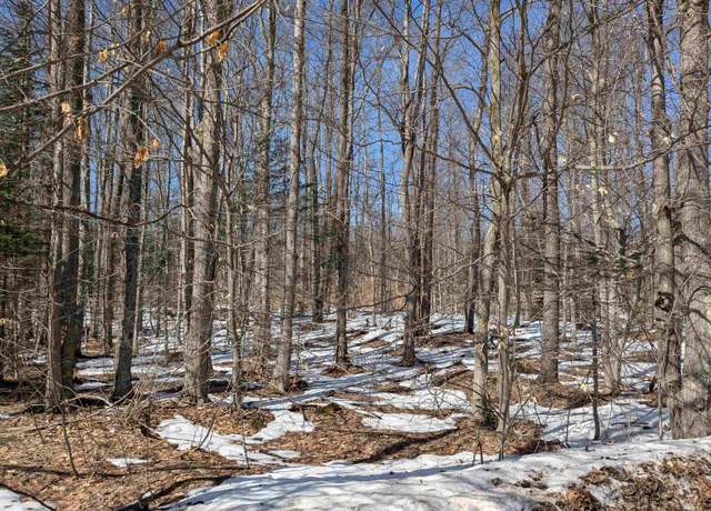 Property at 00 Number One Rd, Copemish, MI 49625