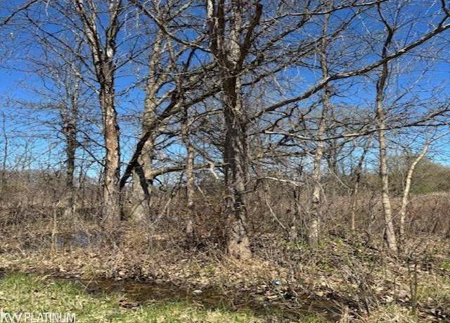 Property at 0 Petz Rd, Imlay City, MI 48444