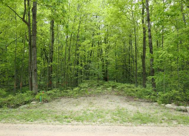 Property at TBD S Lakeside Trl, Shepherd, MI 48883