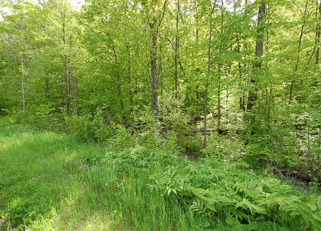 Property at 3882 S 5 1/2 Rd, Harrietta, MI 49638
