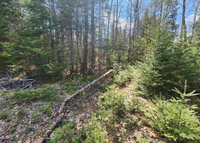Property at S Spruce Dr, Glennie, MI 48737