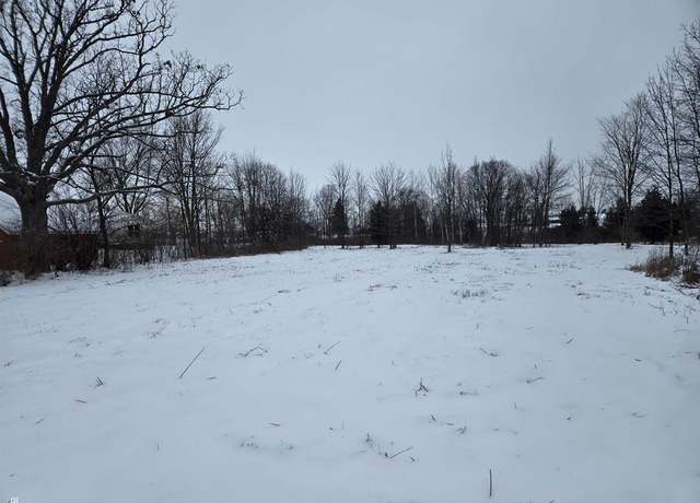 Property at 0 Downey VL Rd, Capac, MI 48014