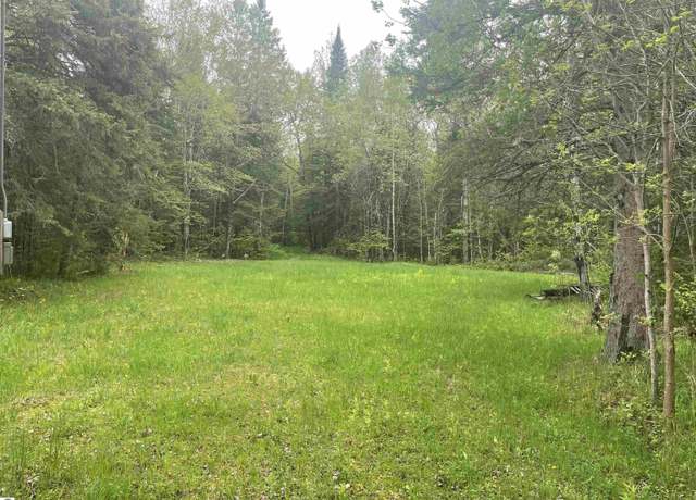 Property at 0 W M-28, Newberry, MI 49868