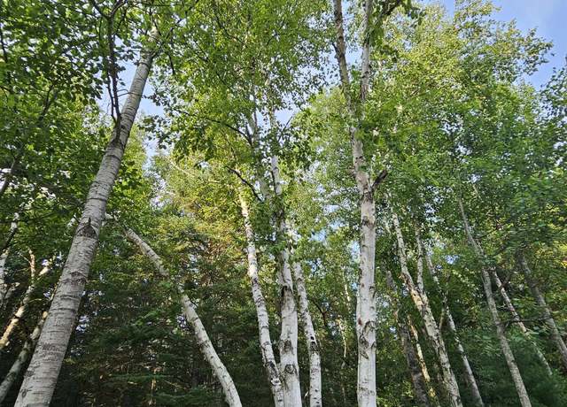 Property at 00 SE Lund Rd, Garfield Township, MI 49633
