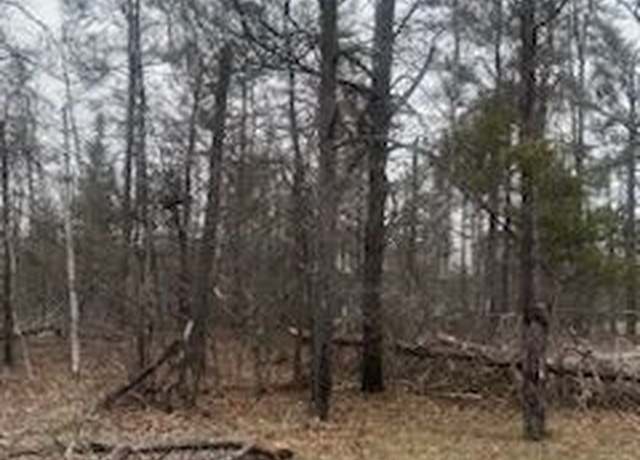 Property at VL Big Creek Rd, Johannesburg, MI 49751