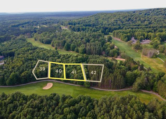 Property at 0000- 40 & 41 Trailside Dr, Thompsonville, MI 49683