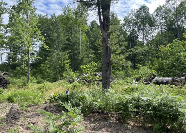 Property at TBD Hoosier Flats Rd, Blair Township, MI 49685