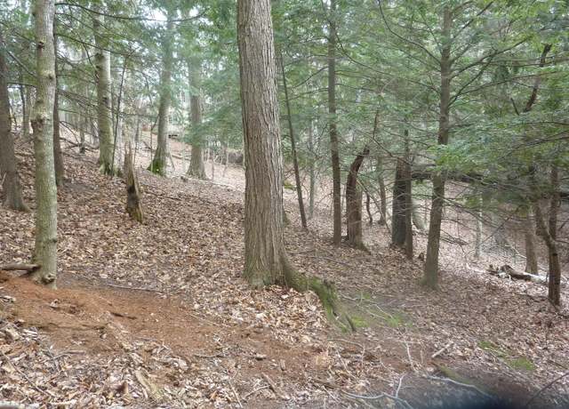 Property at 00 Old State Rd, Frankfort, MI 49635