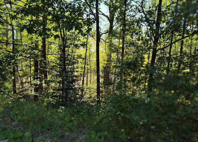 Property at Lot 12 N Circle E, Surrey Twp, MI 48622