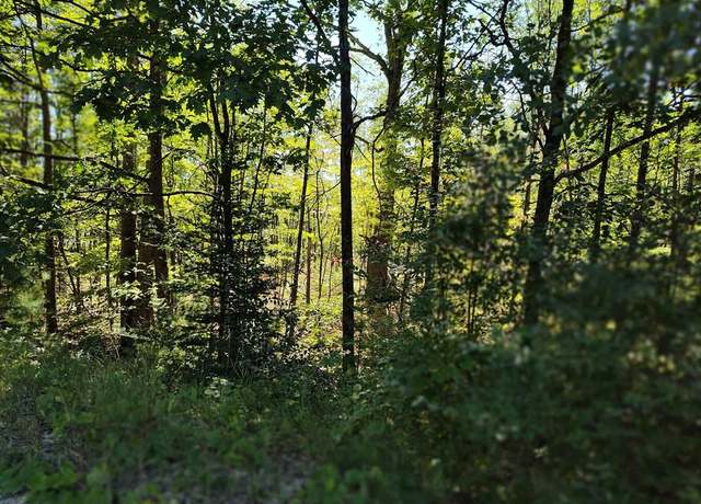 Property at Lot 12 N Circle E, Farwell, MI 48622