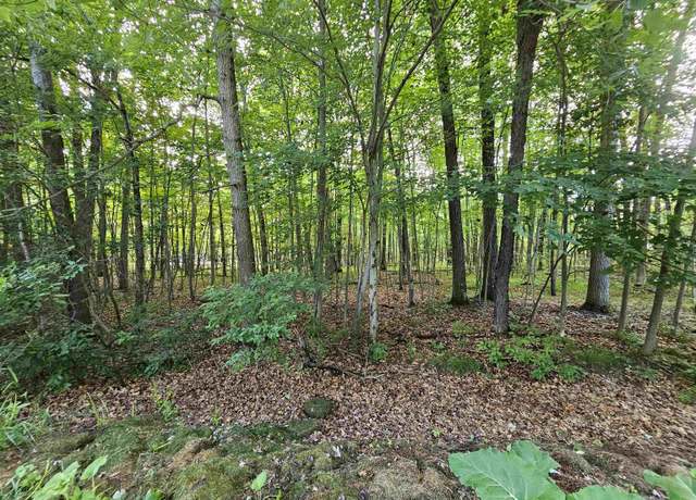 Property at lOT 6 Jose Lake Dr, South Branch, MI 48761