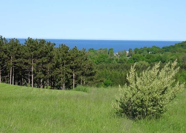 Property at 03 S Macintosh Ct, Empire Township, MI 49630