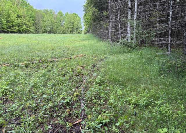 Property at 8240 N 8 Mile Rd, Lake City, MI 49651