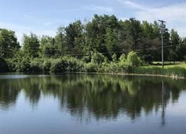 Property at V/l River Vine Dr, Morley, MI 49336