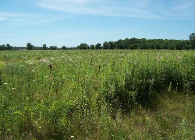 Property at Lot B Masters Rd Rd, Memphis, MI 48041