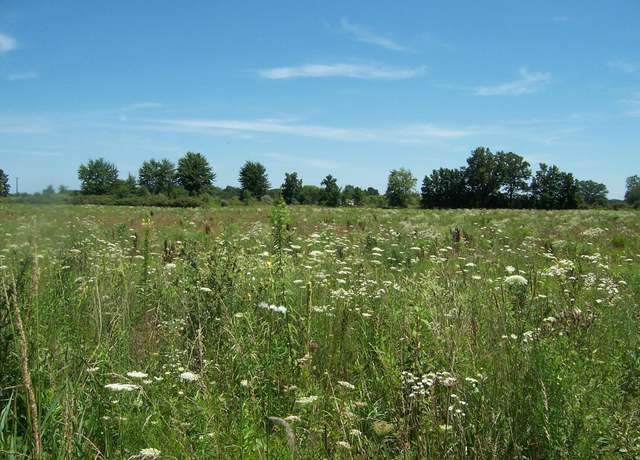 Property at Lot C Calvin Rd Rd, Memphis, MI 48041