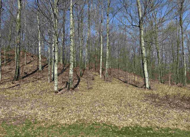 Property at 0000 W Timber View Trl, Empire, MI 49630