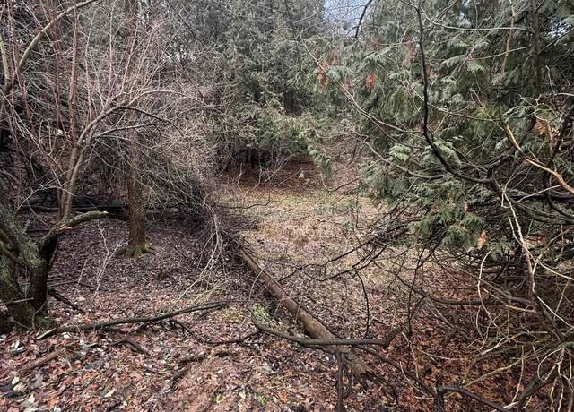 Property at TBD Cedar Dr, Mt Pleasant, MI 48858