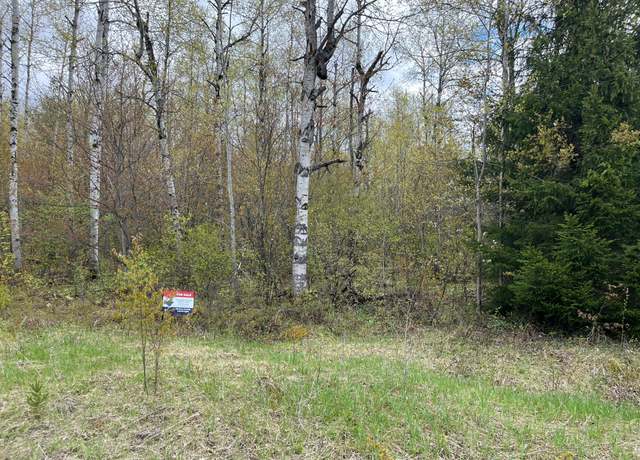 Property at 000 Pineview Dr, Elmira, MI 49730